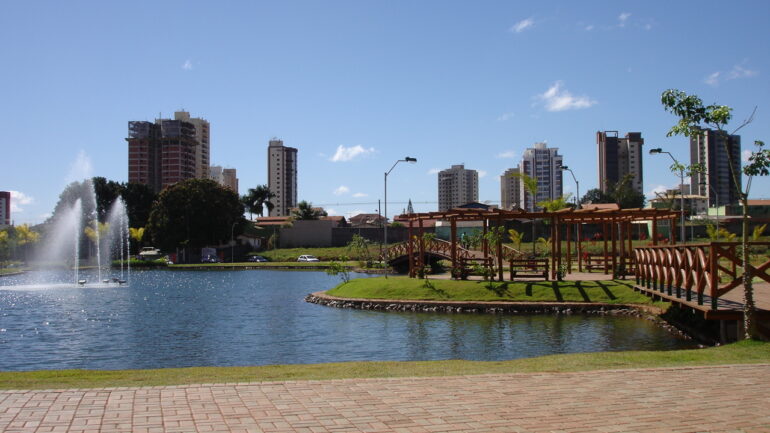 45.425.435 Vinicius Sarmento Costa Sarmento Siqueira Tecnologia Anapolis