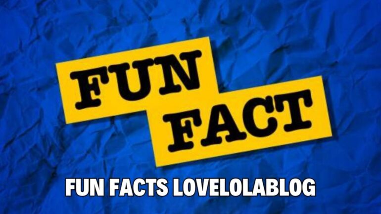 Fun Facts Lovelolablog