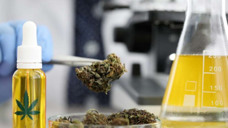 Complete Breakdown of CBD and THC